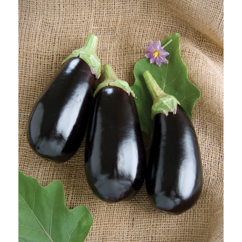 Brinjal